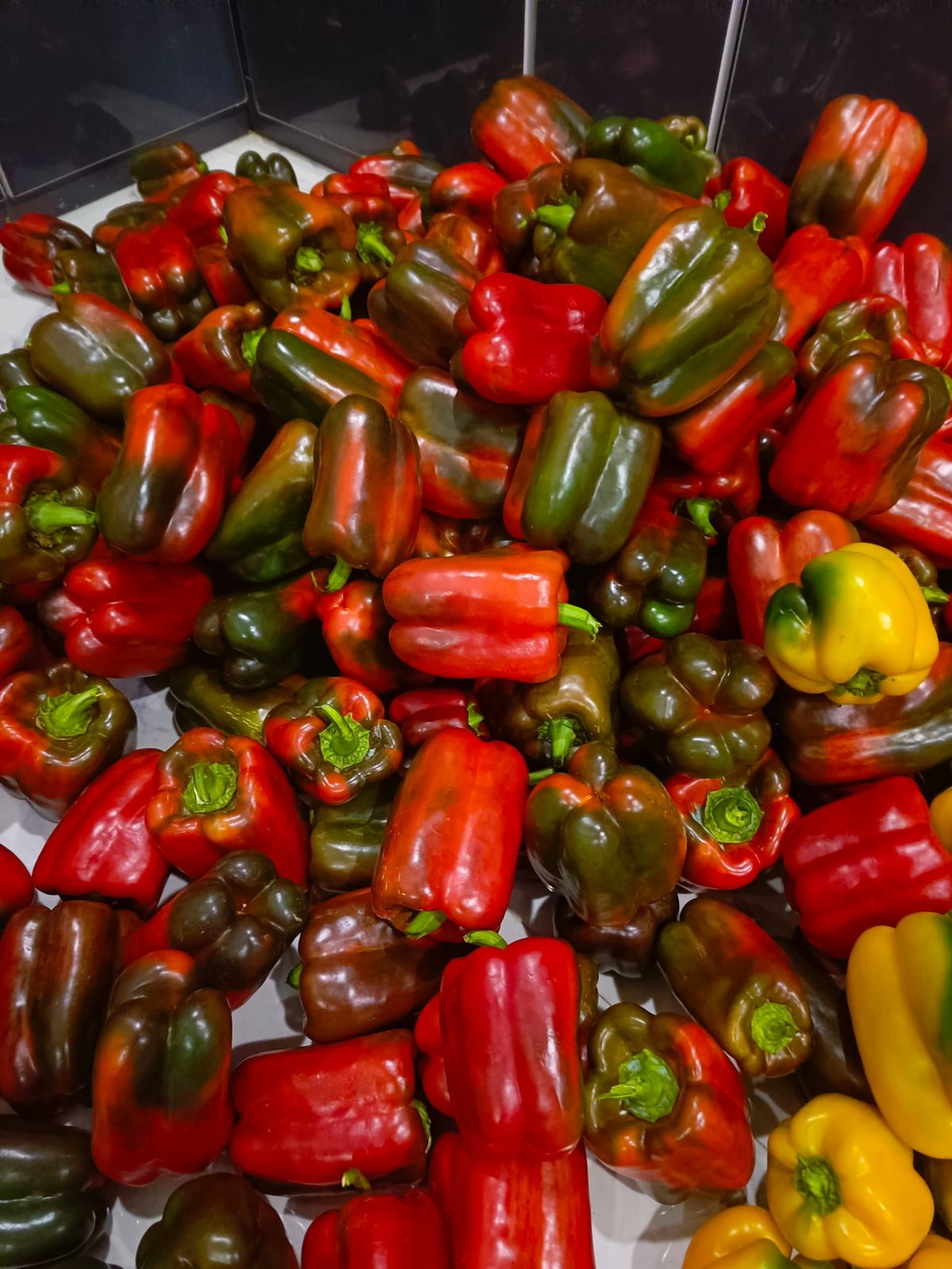 Mixed fresh peppers ready for market